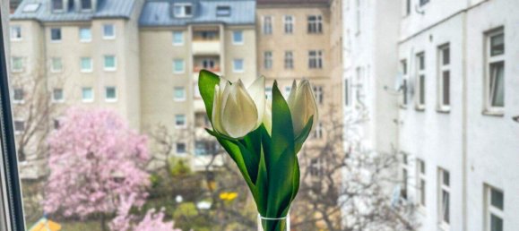 Studio in Favoriten, Austria No. 239009 11