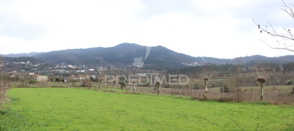 قطعة أرض في Coucieiro, Portugal 2436متر مربع رقم 34379 2