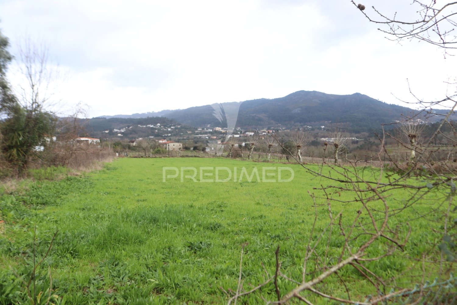  قطعة أرض في Coucieiro, Portugal 2436متر مربع رقم 34379