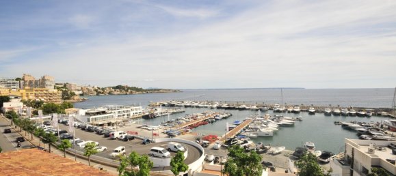11 غرف نوم منزل في Palma de Majorca, Spain رقم 72096 45
