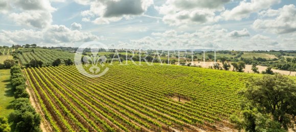 Villa de 6 habitaciónes en Grosseto, Italy No. 120201 15