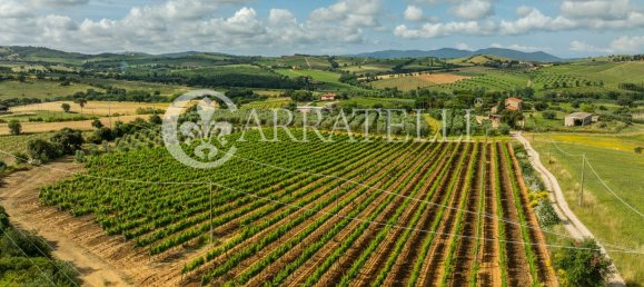 Villa de 6 habitaciónes en Grosseto, Italy No. 120201 14