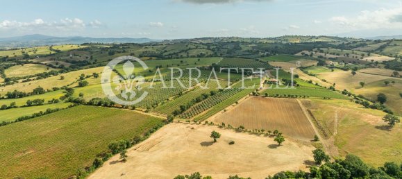 Villa de 6 habitaciónes en Grosseto, Italy No. 120201 13