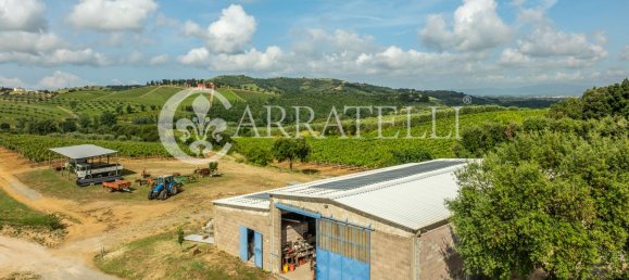 Villa de 6 habitaciónes en Grosseto, Italy No. 120201 19