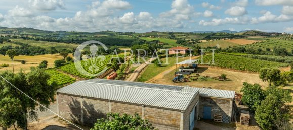 Villa de 6 habitaciónes en Grosseto, Italy No. 120201 18