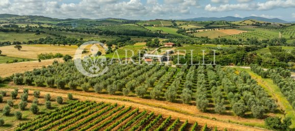 Villa de 6 habitaciónes en Grosseto, Italy No. 120201 20