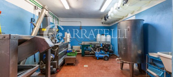 Villa de 6 habitaciónes en Grosseto, Italy No. 120201 31