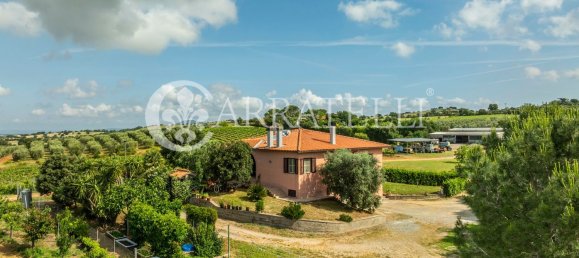 Villa de 6 habitaciónes en Grosseto, Italy No. 120201 6