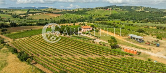 Villa de 6 habitaciónes en Grosseto, Italy No. 120201 5