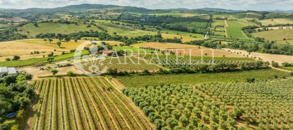 Villa de 6 habitaciónes en Grosseto, Italy No. 120201 16