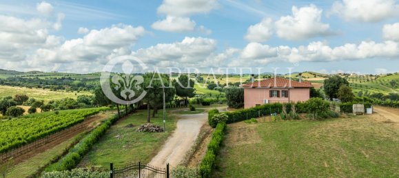 Villa de 6 habitaciónes en Grosseto, Italy No. 120201 11