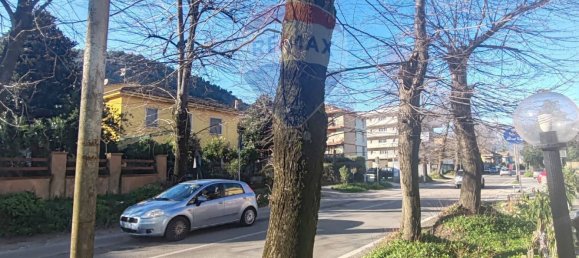 1غرفة عقار تجاري في Cassino, Italy رقم 317369 4