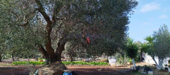 3غرفة منزل في Francavilla Fontana, Italy رقم 62921 32