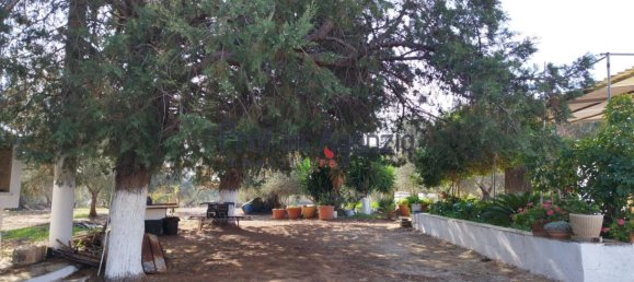 3غرفة منزل في Francavilla Fontana, Italy رقم 62921 29