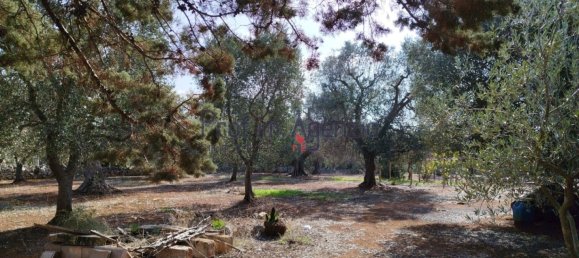 3غرفة منزل في Francavilla Fontana, Italy رقم 62921 31