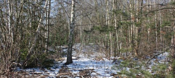 Terrain à Vogtlandkreis, Germany No. 77376 2