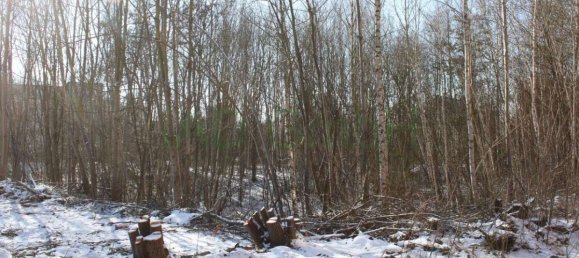 Terrain à Vogtlandkreis, Germany No. 77376 3