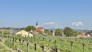 Земельный участок в Лангенлойс, Австрия № 153763