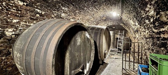 Земельный участок в Лангенлойс, Австрия № 153763 8