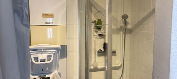 4 chambres Maison à Mulhouse, France No. 280503 13