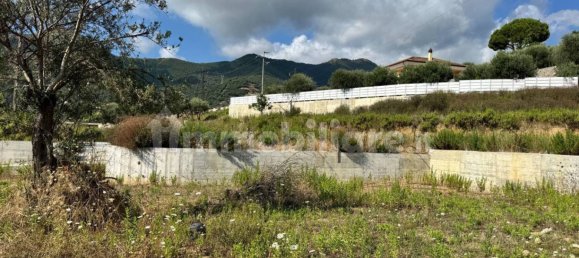 7500m² Commercial property in Toirano, Italy No. 310208 10