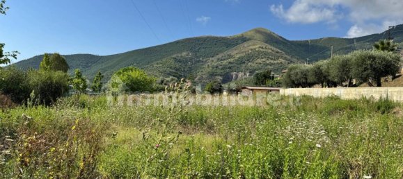 7500m² Commercial property in Toirano, Italy No. 310208 2