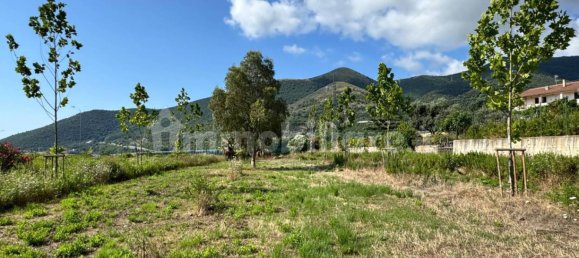 7500m² Commercial property in Toirano, Italy No. 310208 7