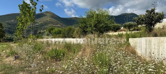 7500m² Commercial property in Toirano, Italy No. 310208 11