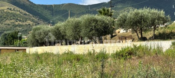 7500m² Commercial property in Toirano, Italy No. 310208 9