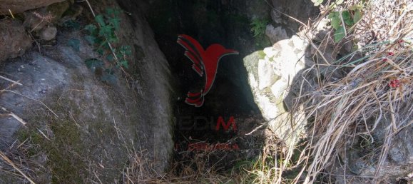  قطعة أرض في Trancoso, Portugal 2660متر مربع رقم 78475 3