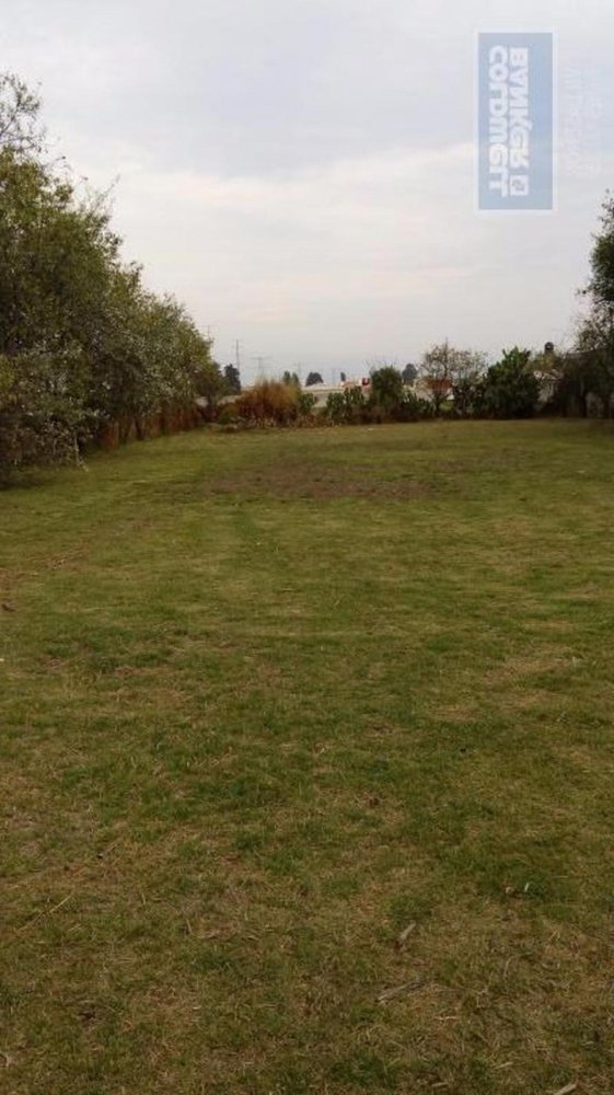  قطعة أرض في Mexico رقم 205550