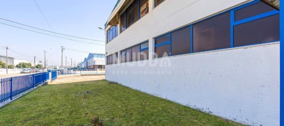 Lagerhaus in Albergaria a Velha, Portugal 960m², Nr. 216320 8