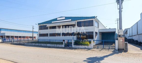 Lagerhaus in Albergaria a Velha, Portugal 960m², Nr. 216320 3