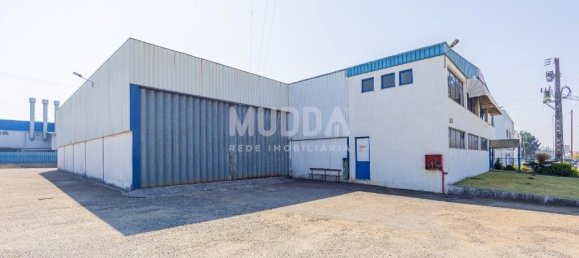 Lagerhaus in Albergaria a Velha, Portugal 960m², Nr. 216320 4