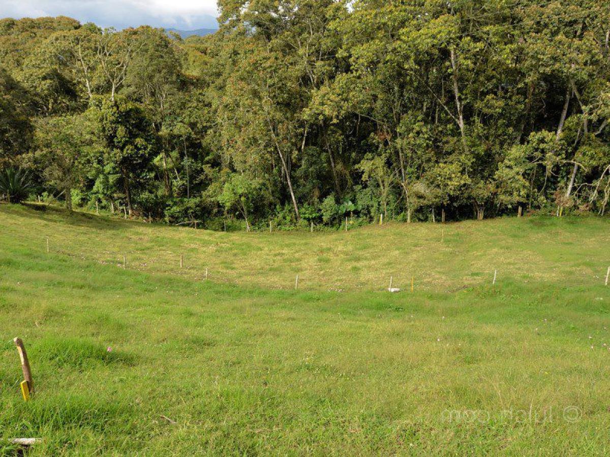  Land in Antioquia, Colombia No. 103