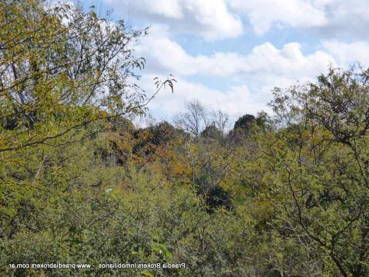  Land in Cordoba, Argentina No. 40620