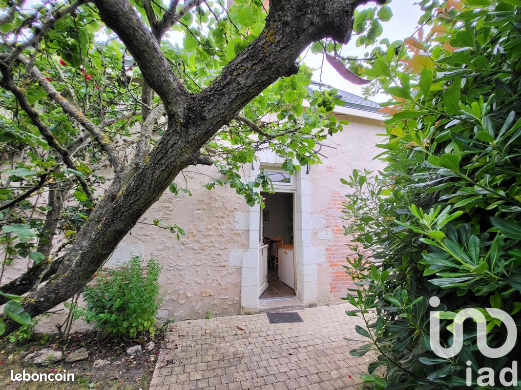 4 Schlafzimmer Haus in Hommes, France, Nr. 264942