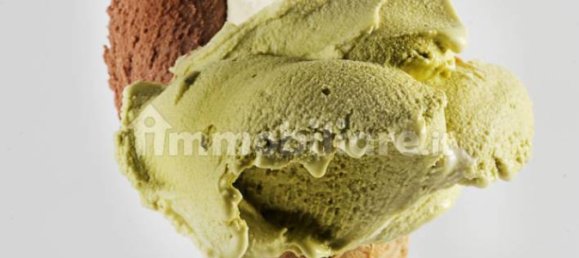 2 rooms Commercial property in Campiglia Marittima, Italy No. 38844 12