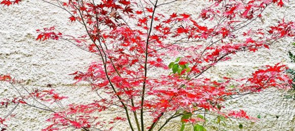 4 bedrooms Apartment in Genoa, Italy No. 361769 39