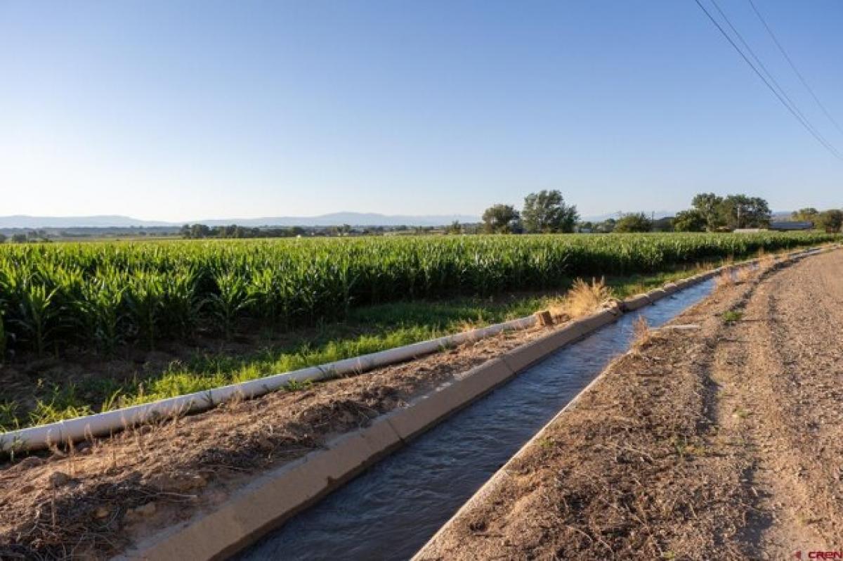  Land in Olathe, USA No. 477722