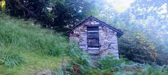 2 Schlafzimmer Haus in Casale Corte Cerro, Italy, Nr. 343093 5