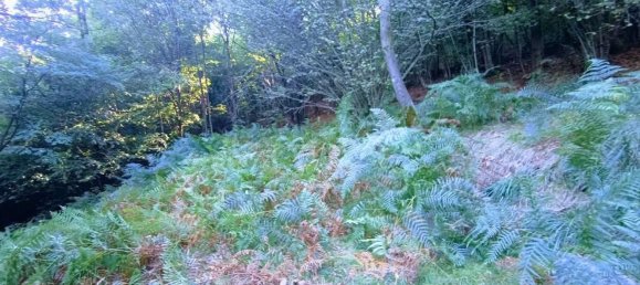 2 Schlafzimmer Haus in Casale Corte Cerro, Italy, Nr. 343093 17