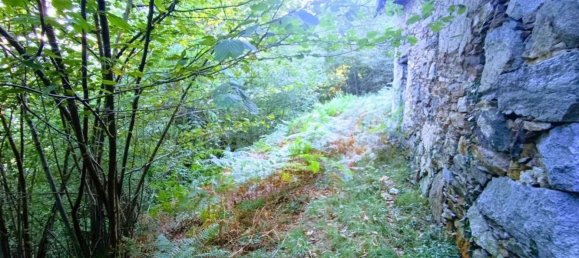 2 Schlafzimmer Haus in Casale Corte Cerro, Italy, Nr. 343093 11