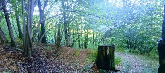 2 Schlafzimmer Haus in Casale Corte Cerro, Italy, Nr. 343093 19