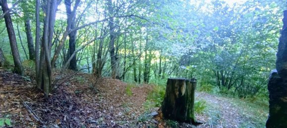 2 Schlafzimmer Haus in Casale Corte Cerro, Italy, Nr. 343093 21