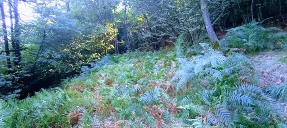 2 Schlafzimmer Haus in Casale Corte Cerro, Italy, Nr. 343093 20