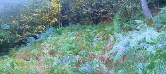 2 Schlafzimmer Haus in Casale Corte Cerro, Italy, Nr. 343093 18