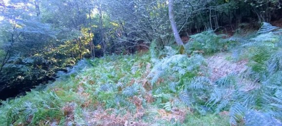 2 Schlafzimmer Haus in Casale Corte Cerro, Italy, Nr. 343093 16