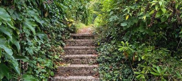 Adosado de 5 habitaciónes en Dobling, Austria No. 233543 6