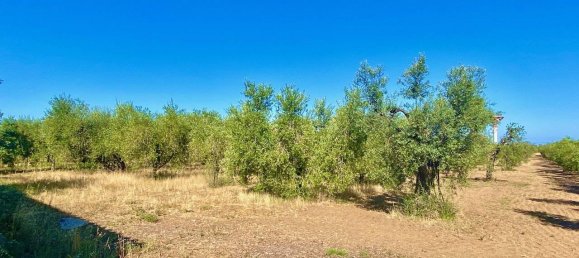 5 rooms House in Castagneto Carducci, Italy No. 123928 8